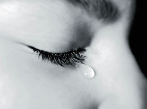 Slow Swimmers and Fried Eggs Conceive IVF Clinic Dubai Sharjah IVF cost