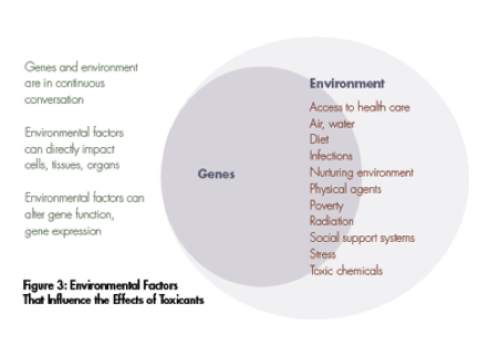 envro&fertility-2