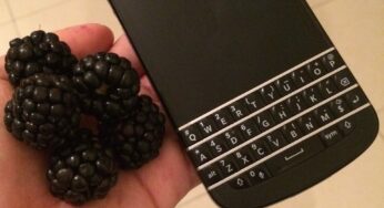 A Blackberry Benefit