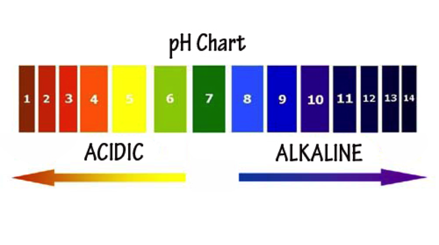 Ph Chart Alkaline