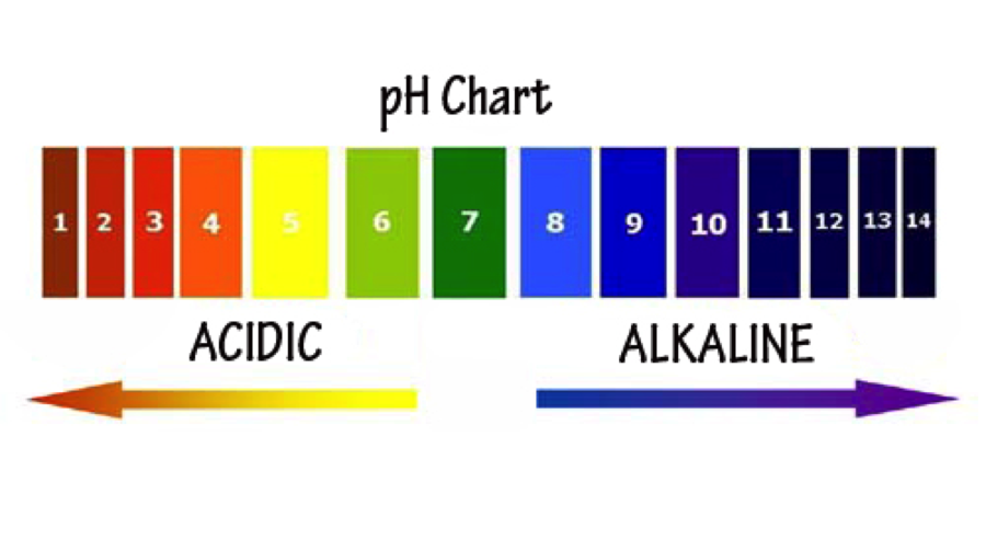 Water Ph Balance Chart