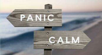 Finding a Fertile Calm through Chaos